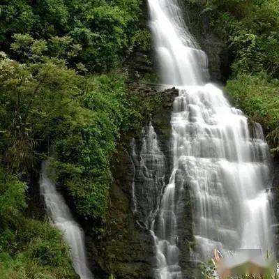 喜欢养猫的人都比较孤僻吗? - 专业的红迪网平台
